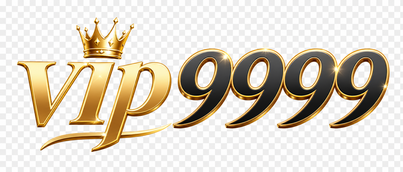 vip9999